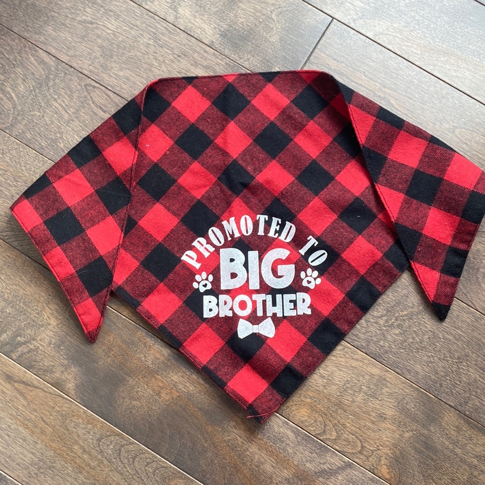 BANDANA Promoted to big brother dog bandana
